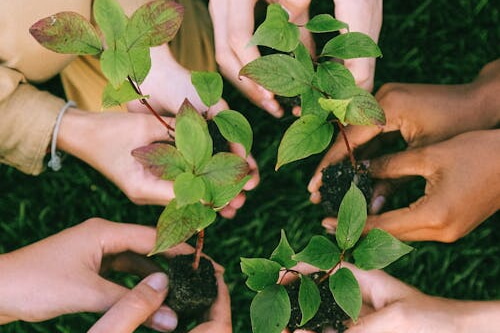 Klimaschutz und Klimaanpassung neu denken: Naturbasierte Lösungen (online)