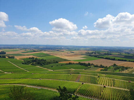 Blick auf den Landkreis Heilbronn